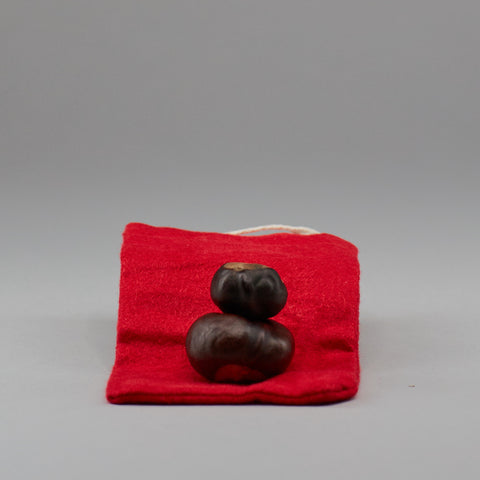 Buckeye Root - Miller's Rexall