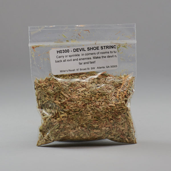 Devils Shoe String - Miller's Rexall
