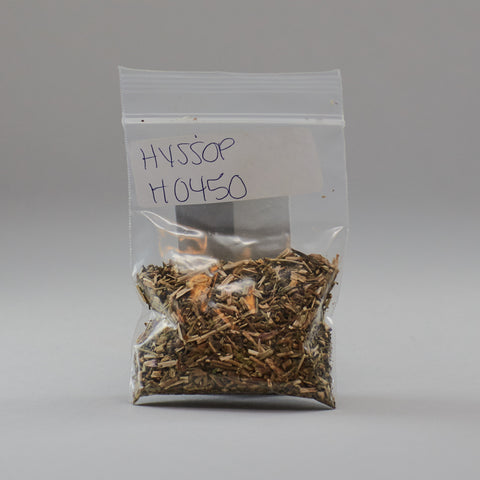 Hyssop - Miller's Rexall