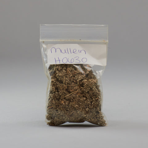 Mullein - Miller's Rexall